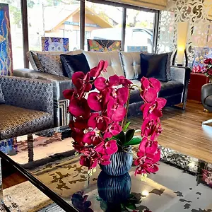 Boutique ''king David'' 巴库里阿尼