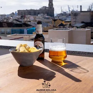 Luxury Duplex With Pool And Padel Court In Town * Malaga