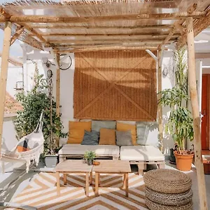 The Urban Jungle Hostel Málaga