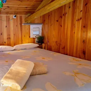 La Casa Del Druida *