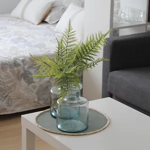Paseo Maritimo Apartment