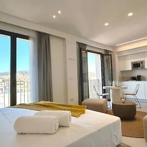 Apartment Pineapple Pozos Dulces 4a