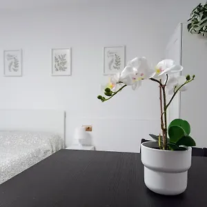Hermoso Estudio Centro De