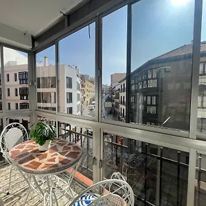 Apartment En El Centro Amplio Y Confortable Malaga