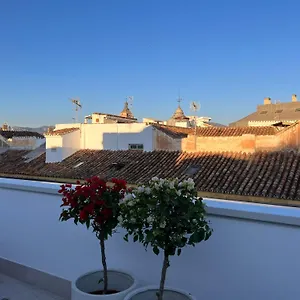 Atarazanas Suite, Atico Con Terraza Apartment Malaga