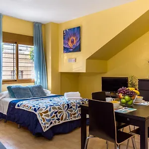 Estudio Malagasol Apartment